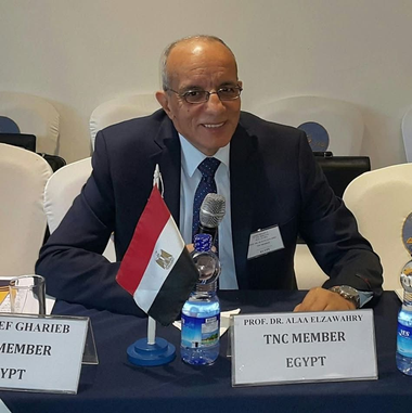 Prof. Dr. Alaa El Zawahry